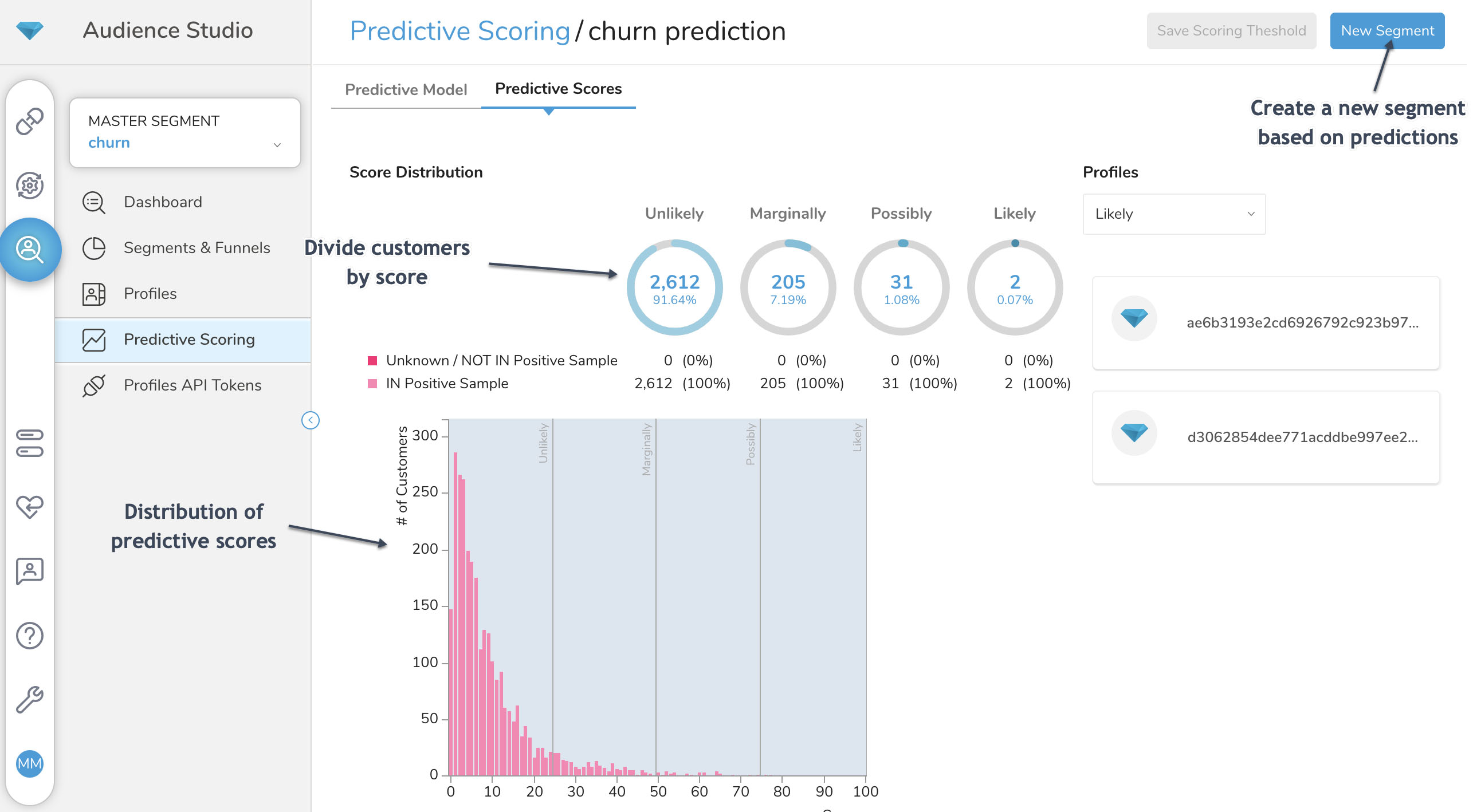 Predictive Scoring