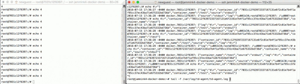 tail_td_agent_log_commands_docker_container