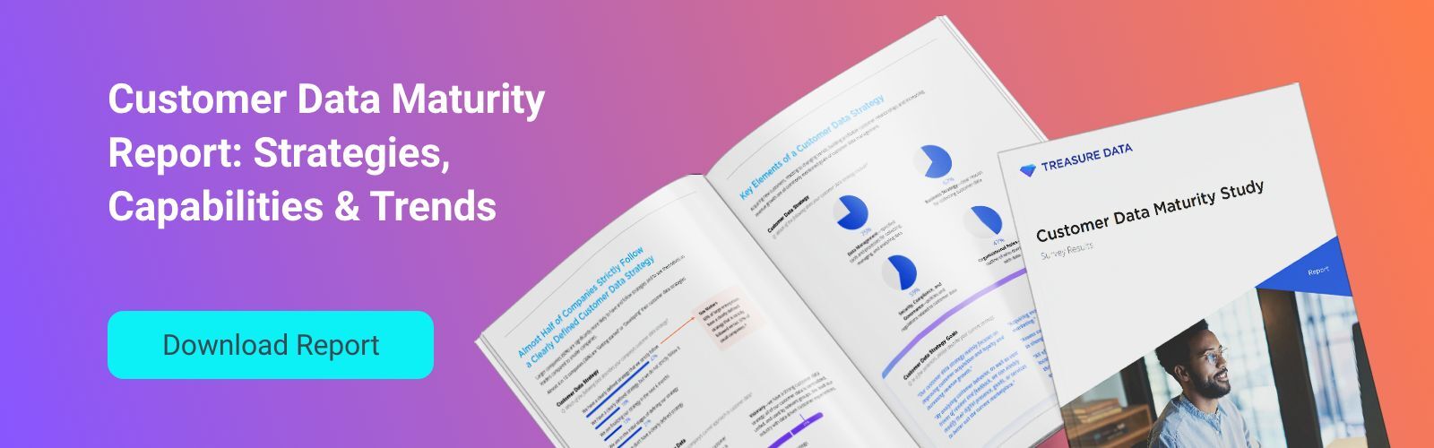 Customer Data Maturity Report