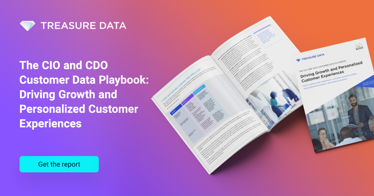 The CIO and CDO Customer Data Playbook